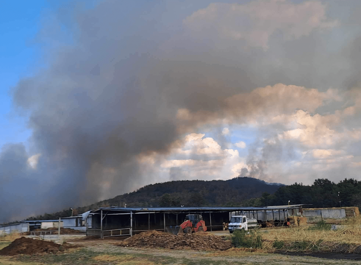Частично бедствено положение е обявено в общините Хисаря и Калояново