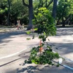Пропадане в Морската градина във Варна