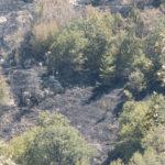 Районът на пожара, българо-гръцката 🛂 🛂