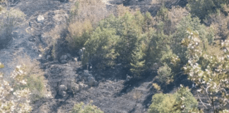 Районът на пожара, българо-гръцката 🛂 🛂