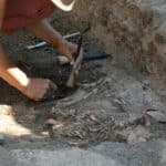 Разкопки на древни могили край Ветрино област Варна