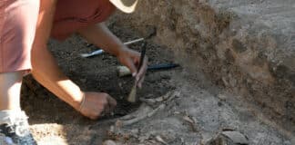 Разкопки на древни могили край Ветрино област Варна