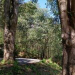 Екопътека в Русе