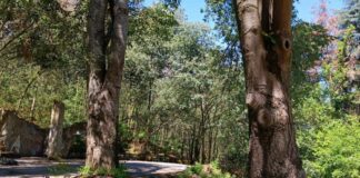 Екопътека в Русе