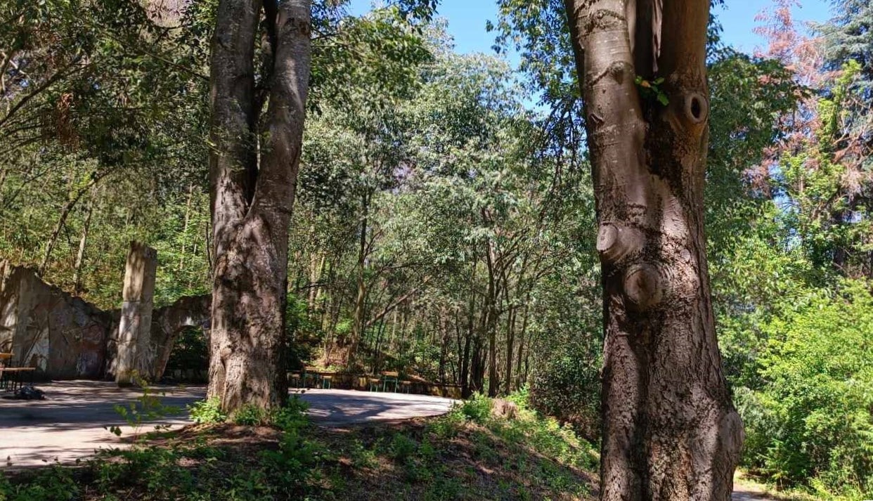 В неделя от 11 00 часа ще се състои официалното откриване