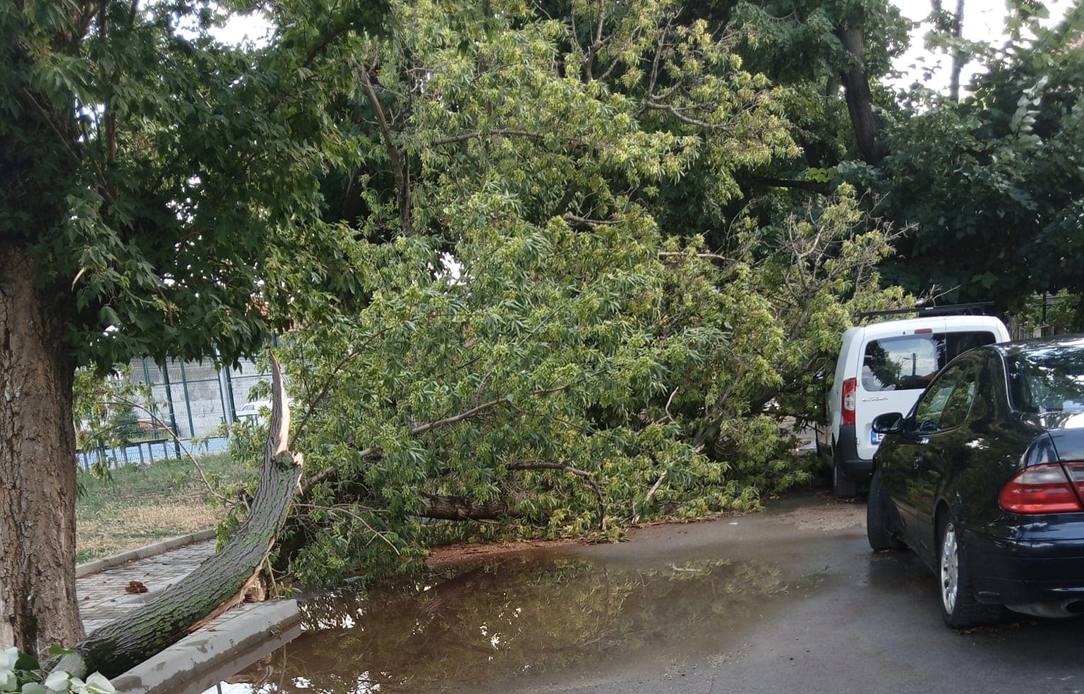 Заради продължаващите силни пориви на вятъра които достигат до 16