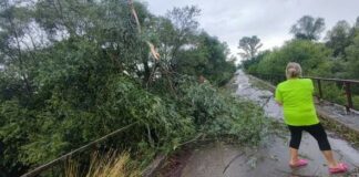 Щетите от бурята