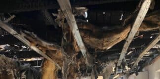 Щетите от пожара