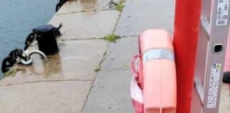 Спасителни пояси. Варна, Морска гара