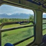 Теснолинейката