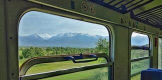 Теснолинейката