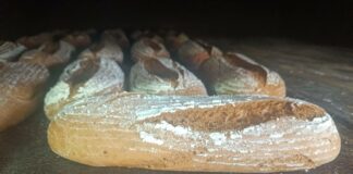 Алероновият хляб