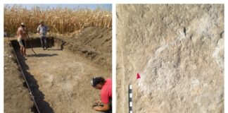 Археологически разкопки край Кардам