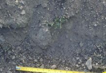 Боеприпасите