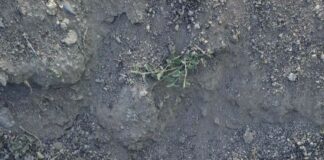 Боеприпасите