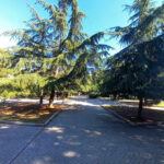 Борисова градина в Бургас