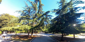 Борисова градина в Бургас