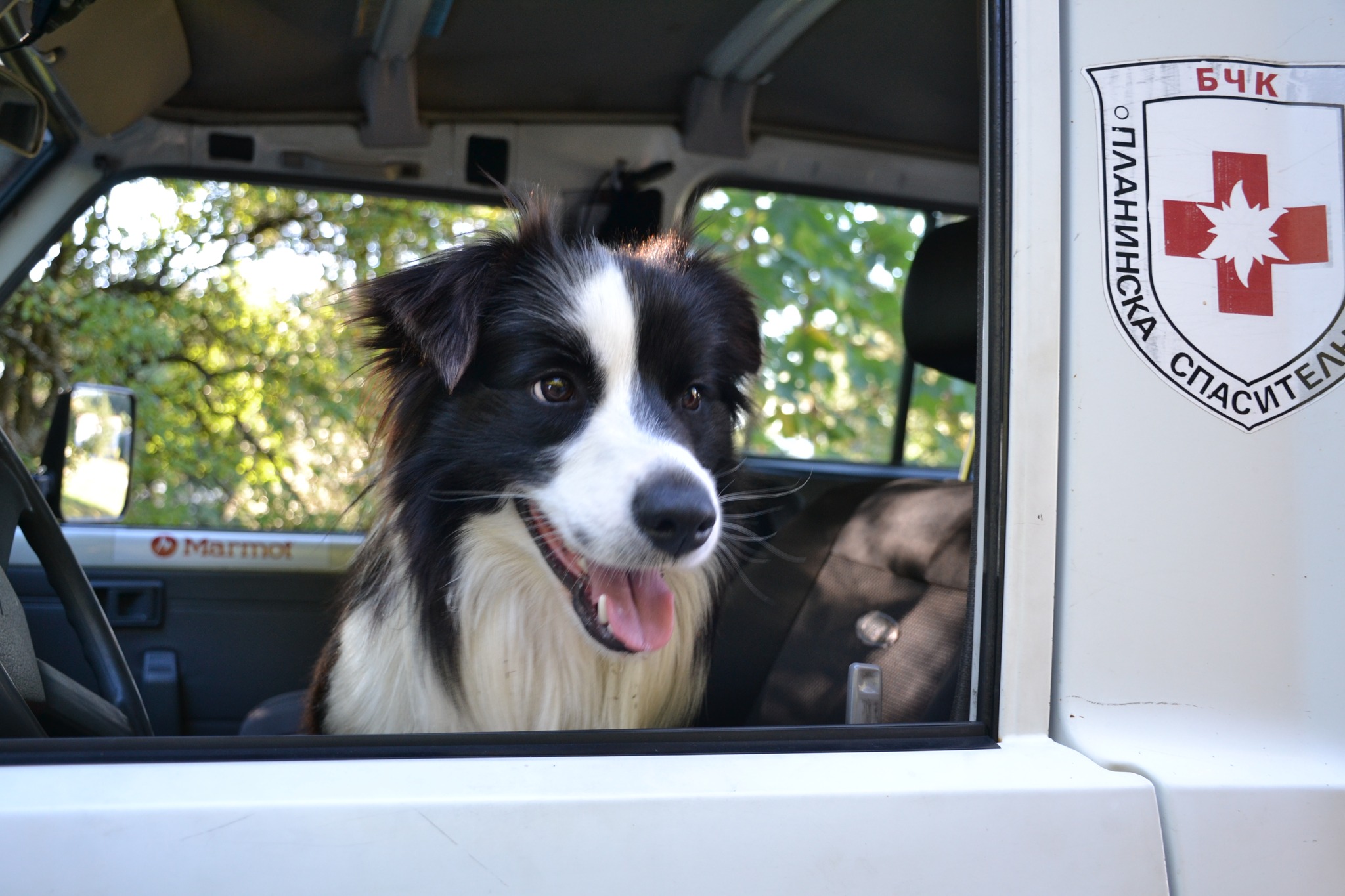 Това е Емир Той е едно от 23 те специално обучени