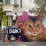 Графит на котка в ж.к. "Взъраждане", Бургас