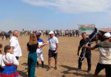 Конни надбягвания в Завет