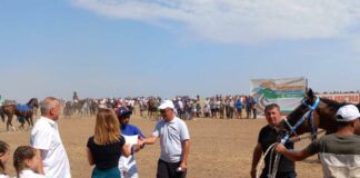 Конни надбягвания в Завет