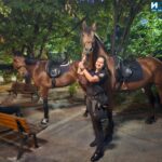 Конна полиция в Пловдив