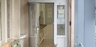 Лисица пред КАТ-Велико Търново