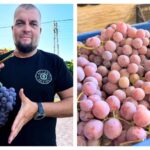 Мартин Пенчев от Бургас дарява тонове десертно грозде на хора в нужда