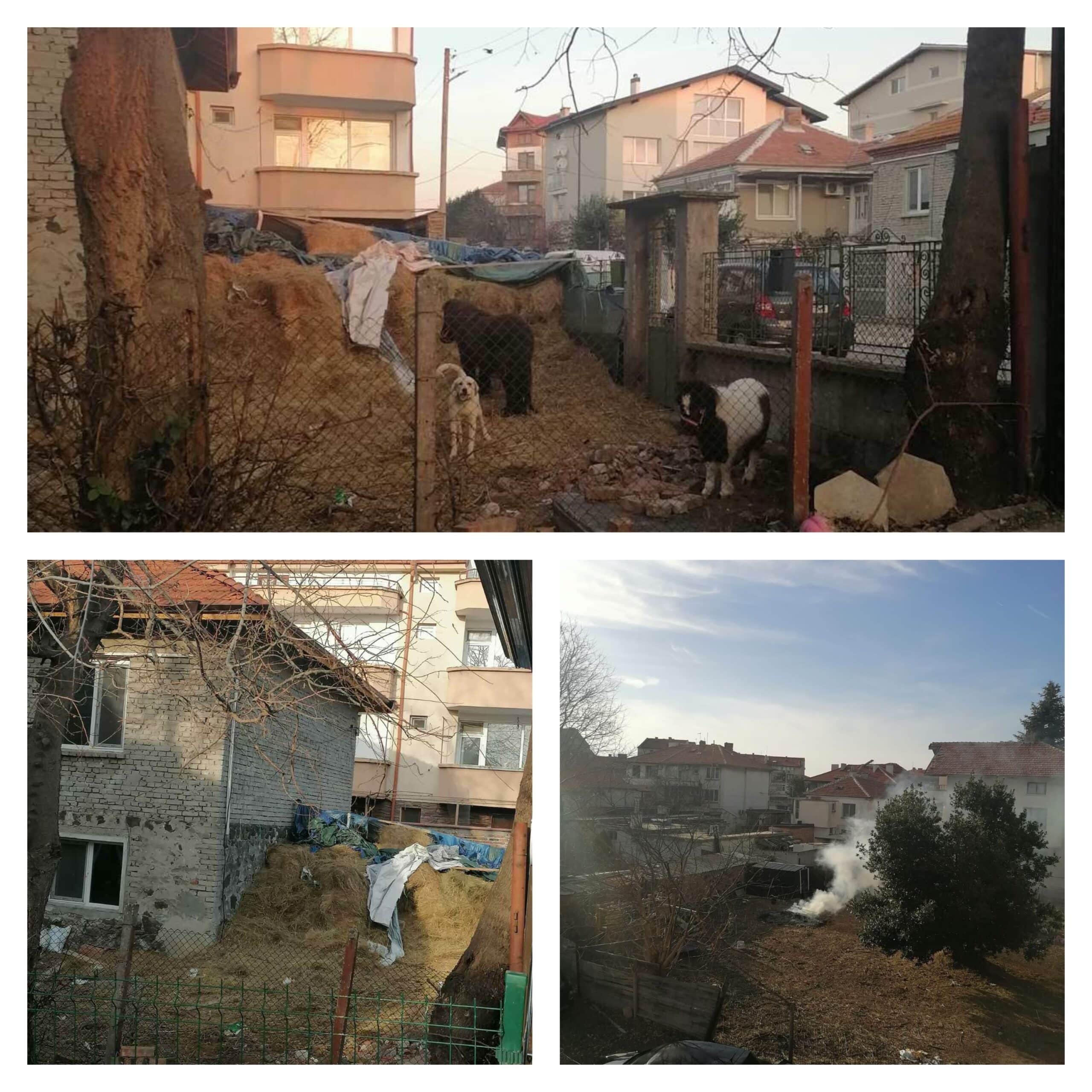 Интересен но много притеснителен за жителите на град Поморие сигнал постъпи