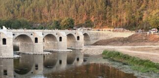 Мост на Колю Фичето