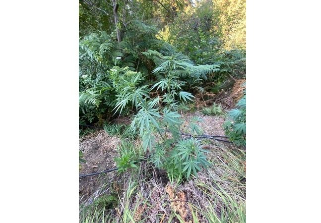 Вчера по време на проведена полицейска операция по линия на