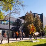 Нов български университет, НБУ