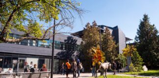 Нов български университет, НБУ