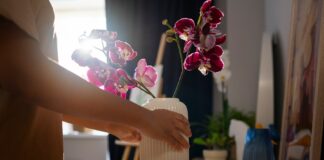 Отглеждане на орхидея вкъщи