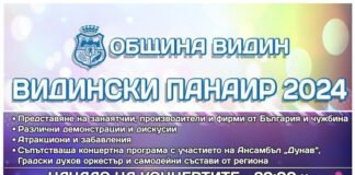 Панаир във Видин