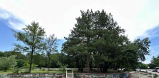 Парк "Канана" в Хасково