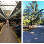 Пазар Краснодар и Борисовата градинка в Бургас