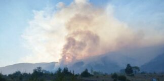 Пожар в планина Славянка