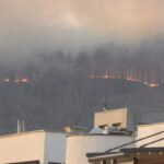 Пожар край Каменар