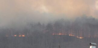 Пожар край Каменар