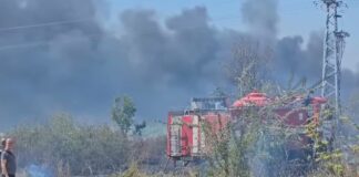 Пожар между Хасково и Димитровград