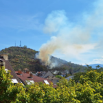 Пожар на Младежкия хълм в Пловдив