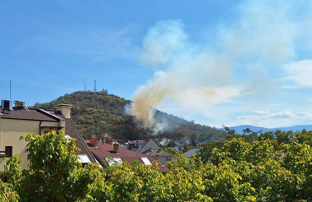 Пожар гори на Младежкия хълм в Пловдив съобщи във Facebook