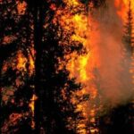 Пожар в с.Баня, Област Сливен