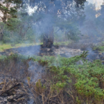 Пожар в Пирин