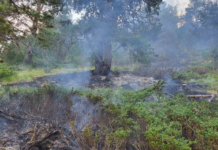 Пожар в Пирин