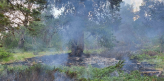 Пожар в Пирин