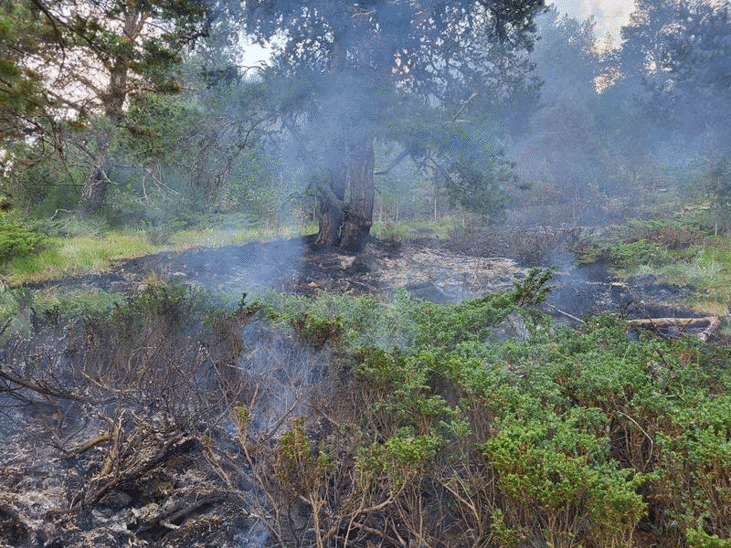 Сигнал за пожар под връх Шаралия на територията на Национален