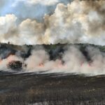 Пожар в село Арчар