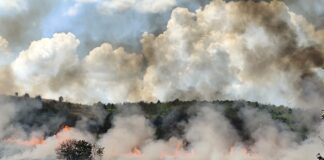 Пожар в село Арчар